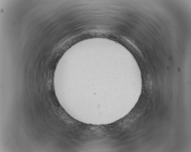 X0000086051015200704202030