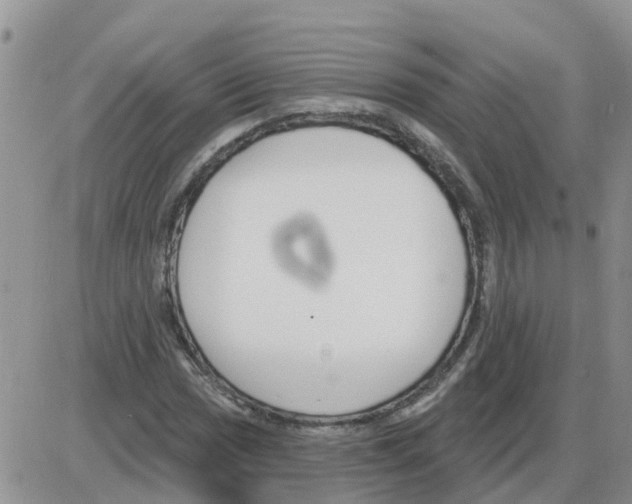 X0000086051017200704202030