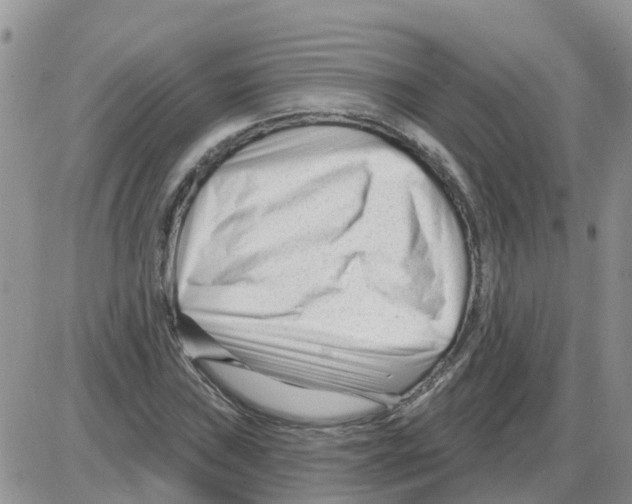 X0000086051019200704202030