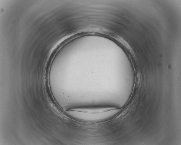 X0000086051020200704202030