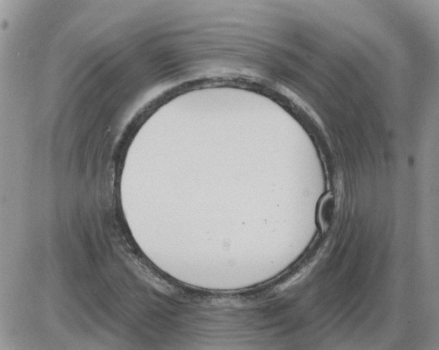 X0000086051021200704202030