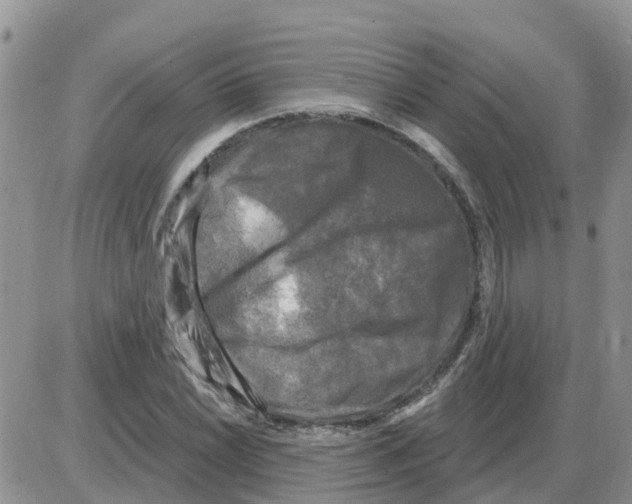 X0000086051022200704202031