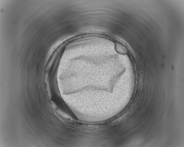 X0000086051027200704202031