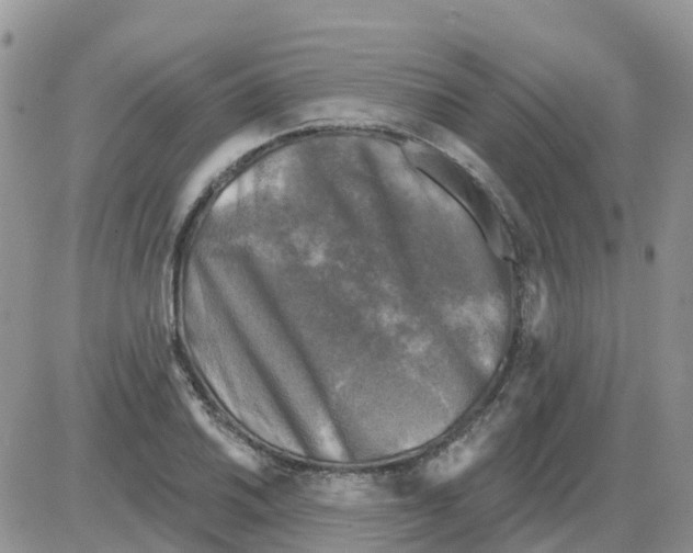 X0000086051030200704202031