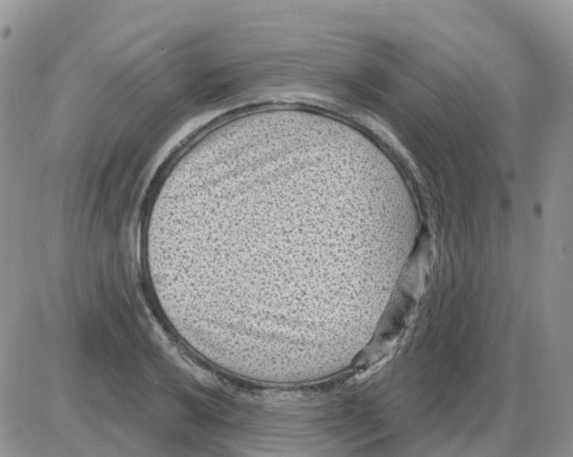 X0000086051032200704202031