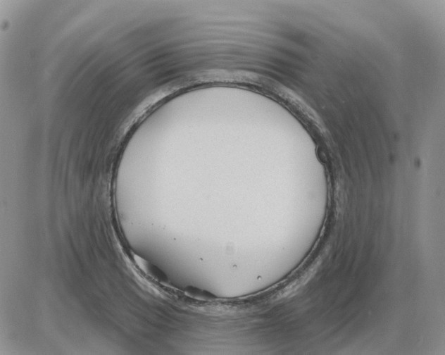 X0000086051033200704202031