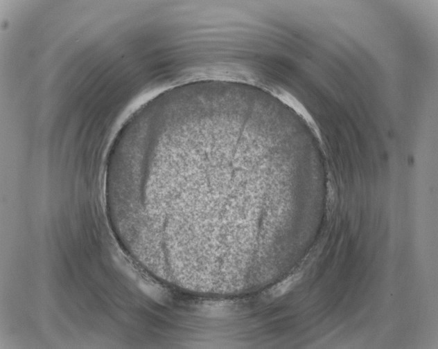 X0000086051035200704202031