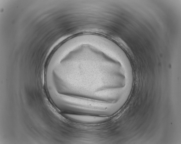 X0000086051036200704202031