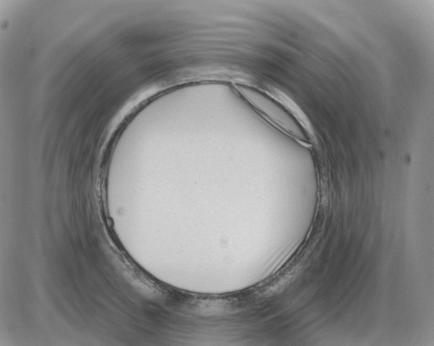 X0000086051043200704202031