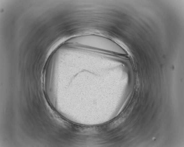 X0000086051047200704202031