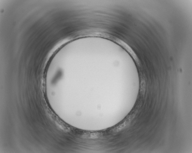 X0000086051051200704202031