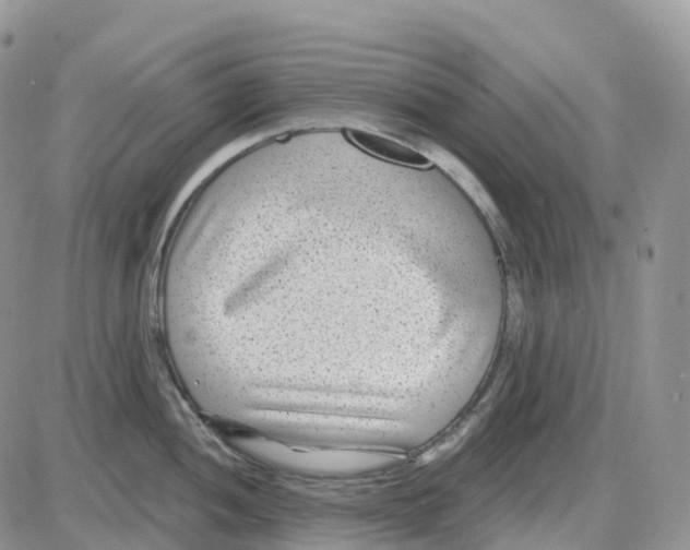 X0000086051052200704202031