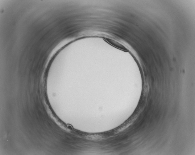 X0000086051053200704202031