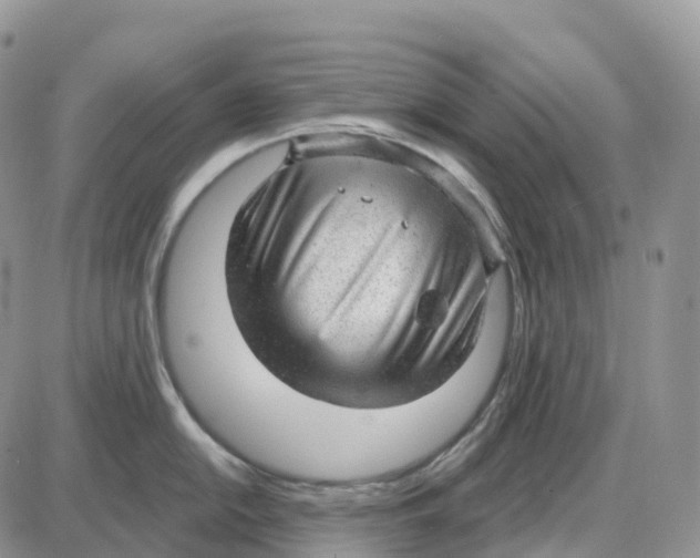 X0000086051054200704202031