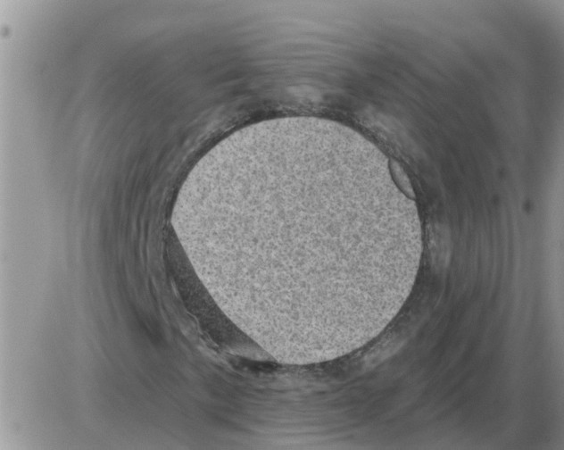 X0000086051057200704202030