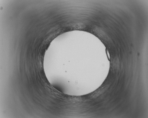 X0000086051058200704202030