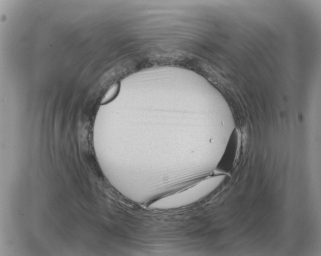 X0000086051059200704202030