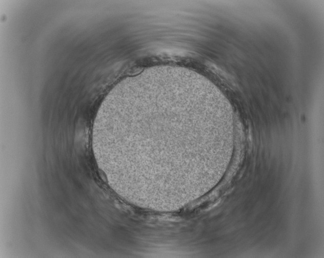 X0000086051061200704202030