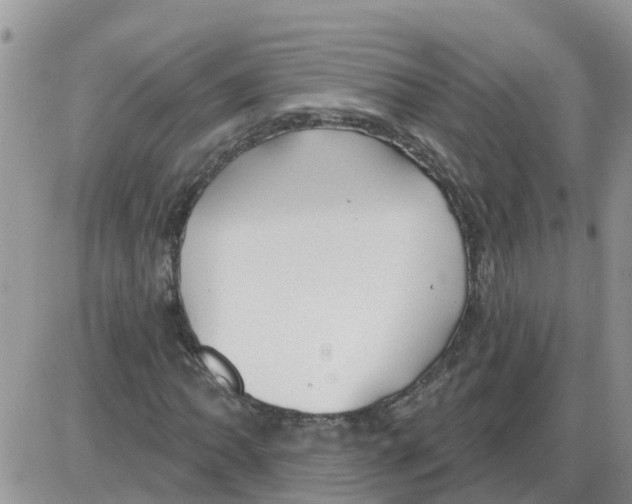 X0000086051062200704202030