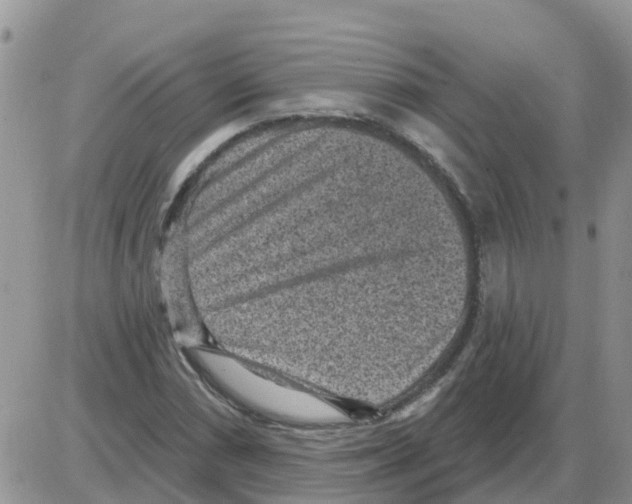 X0000086051066200704202030