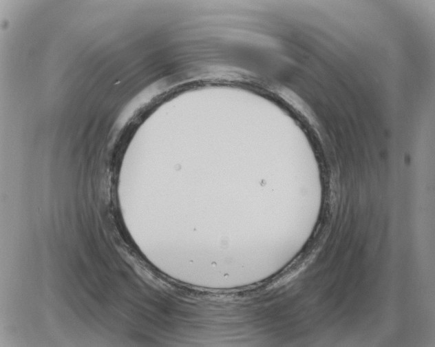 X0000086051067200704202030