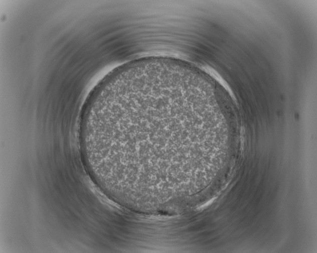 X0000086051068200704202030