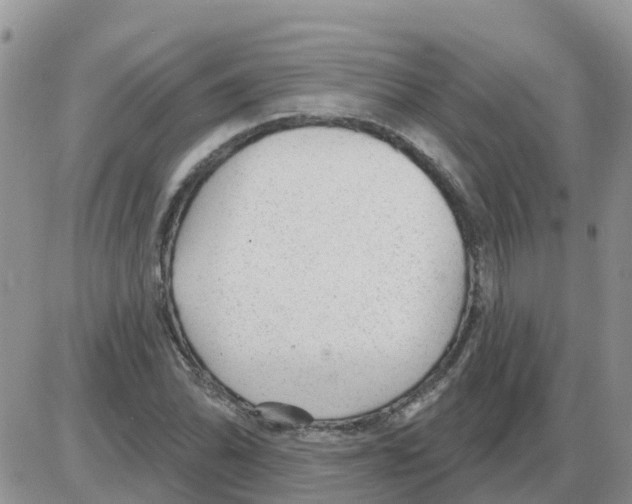 X0000086051070200704202030