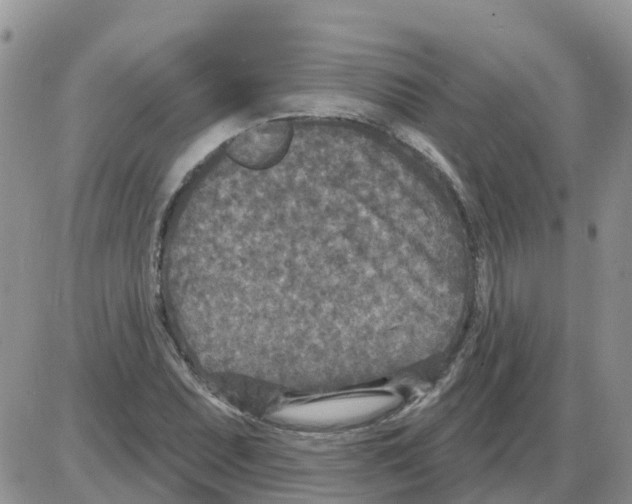 X0000086051071200704202030