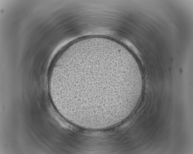 X0000086051072200704202030