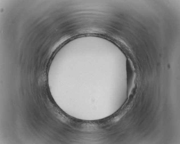 X0000086051073200704202030