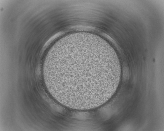 X0000086051074200704202030