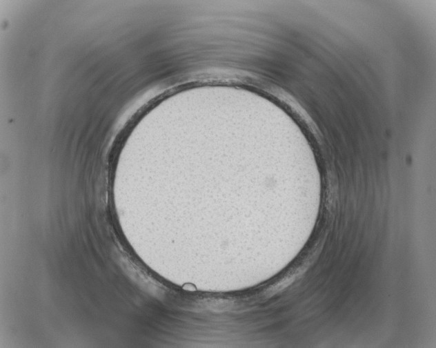 X0000086051075200704202030