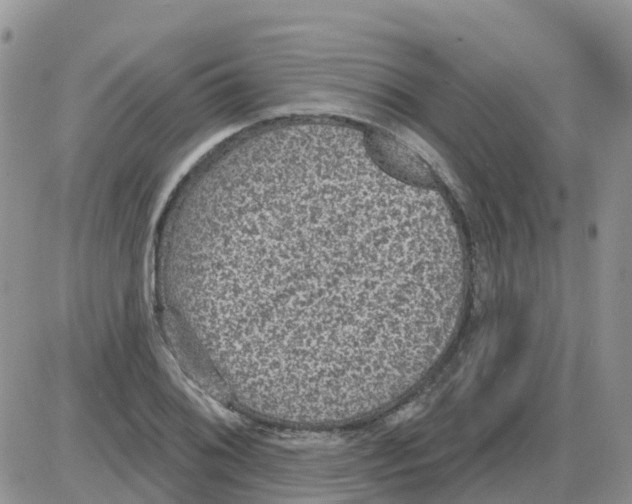 X0000086051076200704202030