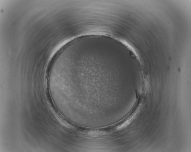 X0000086051077200704202030