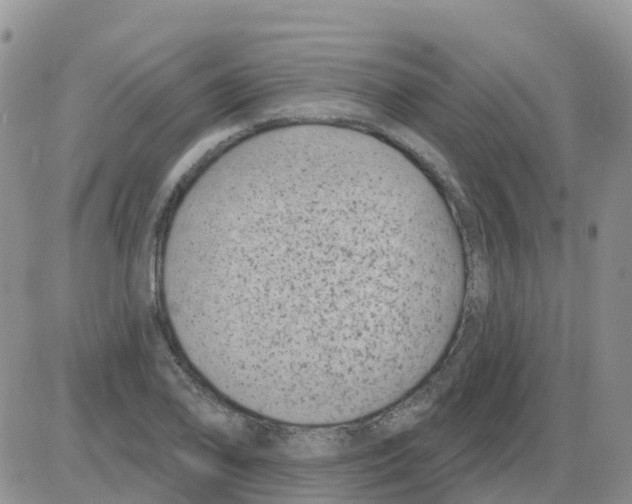 X0000086051078200704202030