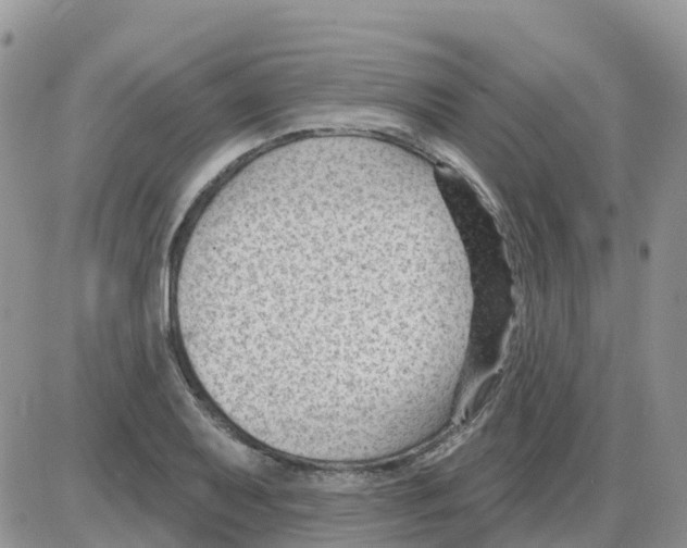 X0000086051079200704202030