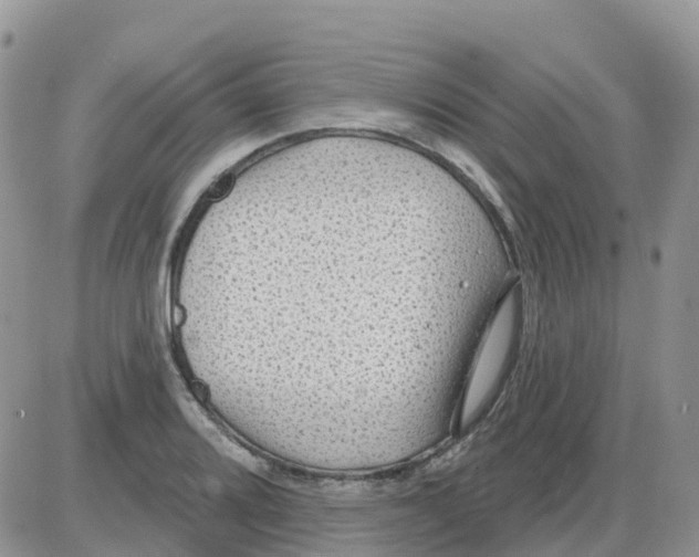 X0000086051080200704202030