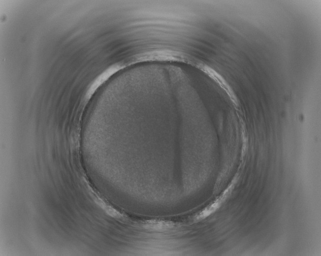 X0000086051081200704202030