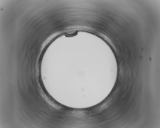 X0000086051082200704202030