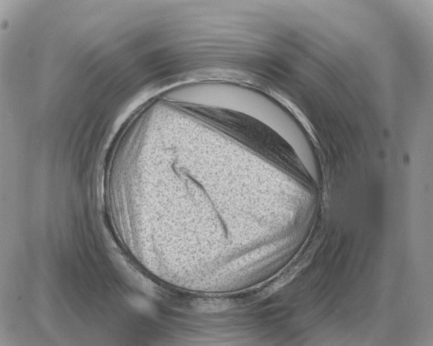 X0000086051083200704202030