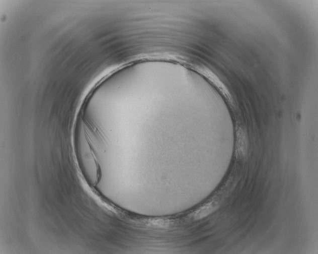 X0000086051084200704202030