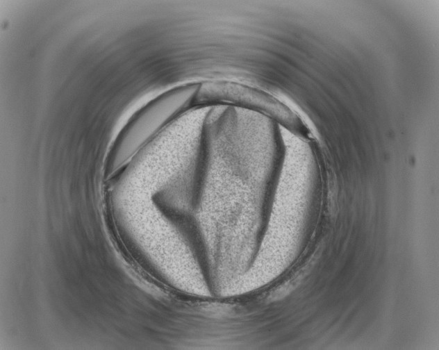 X0000086051085200704202030