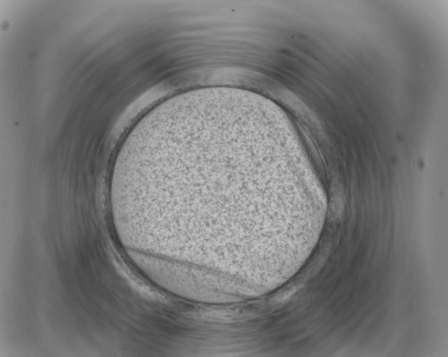 X0000086051086200704202030