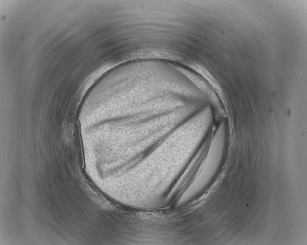 X0000086051089200704202030