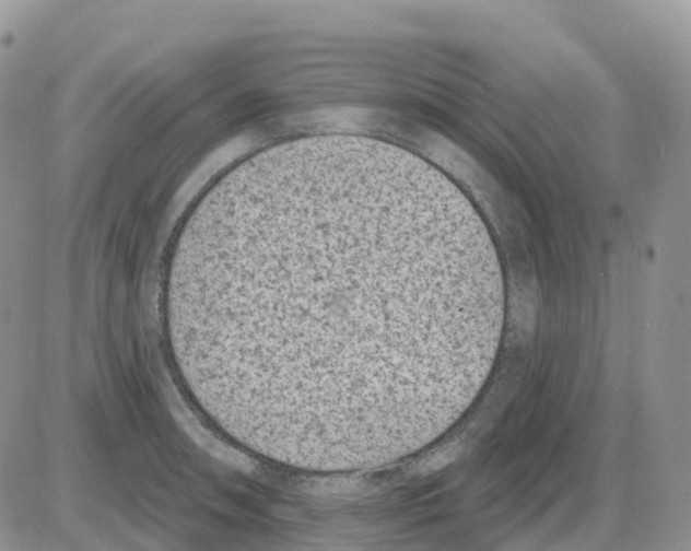 X0000086051090200704202030