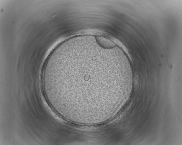 X0000086051091200704202030