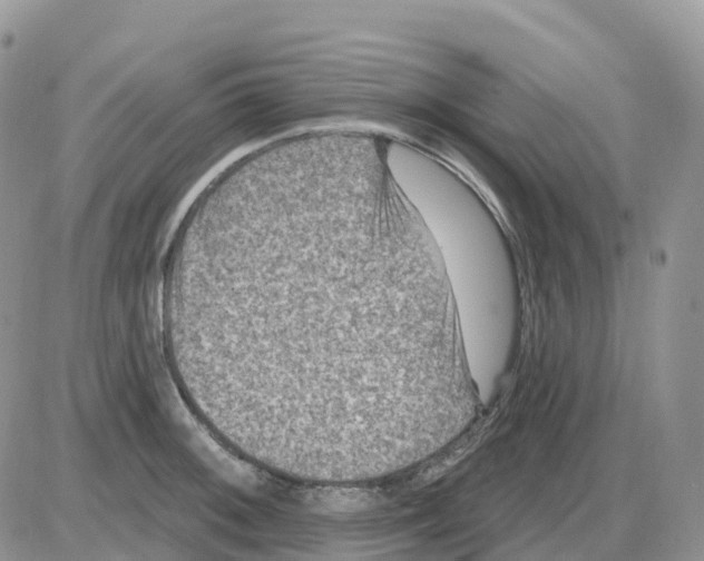 X0000086051092200704202030