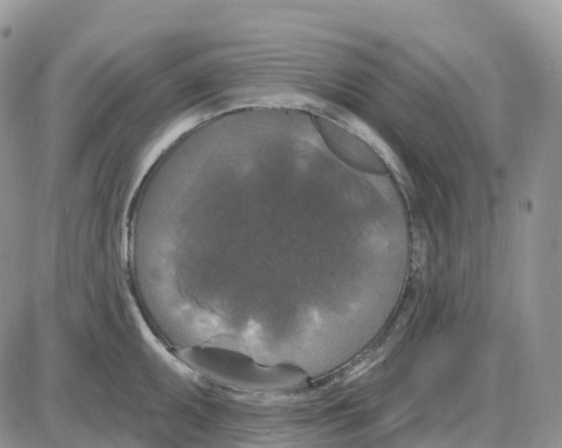 X0000086051095200704202030