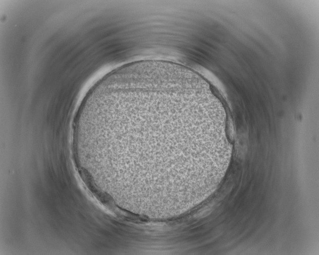 X0000086051096200704202030