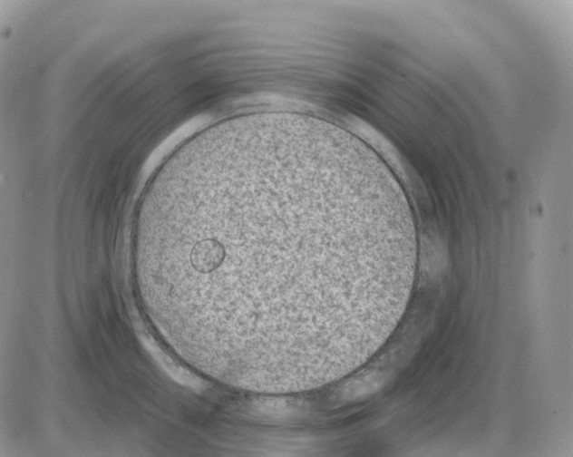 X0000086051098200704202030